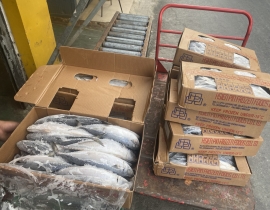 CÁ SABA ĐÀI LOAN 400-600G