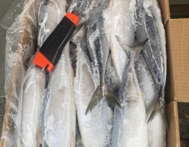 CÁ SABA ĐÀI LOAN 400-600G