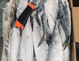 CÁ SABA ĐÀI LOAN 400-600G