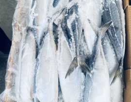 CÁ SABA ĐÀI LOAN 400-600G