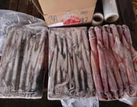 MỰC ỐNG SỐ 2
