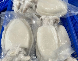 MỰC NANG LÀM SẠCH SIZE 1000 - 2000G NET 7