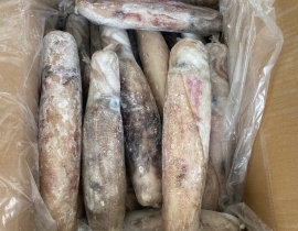 MỰC LÁ CUỘN 4A SIZE 500-1000G ĐỦ KG