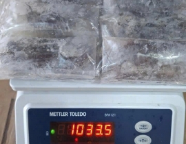CUA LỘT VIỆT NAM 6-7 CON / TÚI