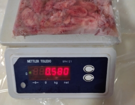 BAO TỬ BASA ĐỎ ĐẸP TỪ CÁ SỐNG