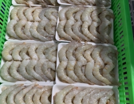 THỊT NÕN TÔM THẺ LOẠI 2