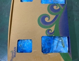 CÁ CAM  800-1000G