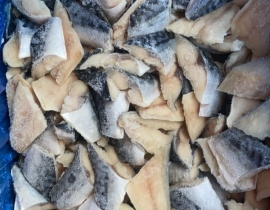 CÁ SABA NAUY FILLET CẮT LÁT ( THU NHẬT CẮT LÁT )