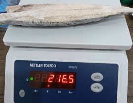 Cá sapa nauy fillet