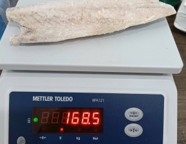 Cá sapa nauy fillet