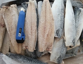 Cá sapa nauy fillet