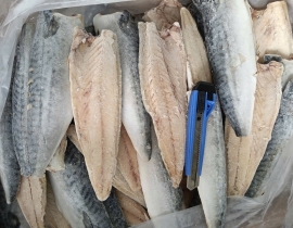 Cá sapa nauy fillet