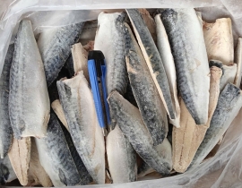 Cá sapa nauy fillet