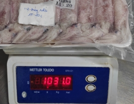 MỰC TRỨNG 100% - TRỨNG  NHỒI