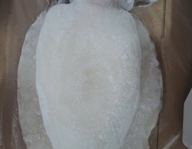 MỰC NANG LÀM SẠCH SIZE 1000 - 2000G NET 7
