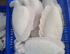 MỰC NANG LÀM SẠCH SIZE 1000 - 2000G NET 7