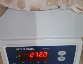 MỰC ÔNG ILEX ĐÔNG IQF SIZE 200-300G - 10 KG 