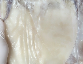 MỰC XÀ 1 NẮNG CÔ TÔ