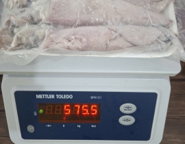 MỰC ỐNG LAO 15CM UP VỈ 500G N8 (ĐÃ BAO GỒM MẠ BĂNG)
