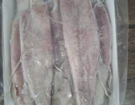 MỰC ỐNG LAO 15CM UP VỈ 500G N8 (ĐÃ BAO GỒM MẠ BĂNG)