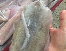 MỰC LÁ DẼO BLOCK ĐÔNG TÀU 400G UP