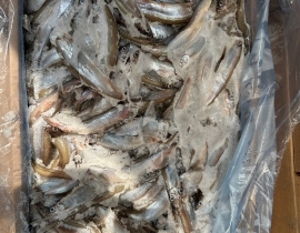 Cá trứng canada 51-55  thùng 10kg