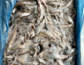 Cá trứng canada 51-55  thùng 10kg