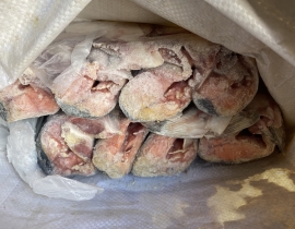 Cá hồi Pink (Nga) nguyên con