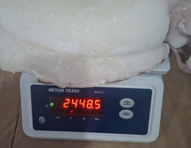 MỰC NANG LÀM SẠCH  2000UP N7