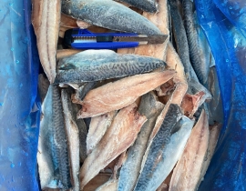 CÁ SAPA NHẬT FILLET CÒN KAMA 