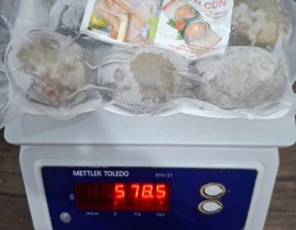 BÀO NGƯ LUXY