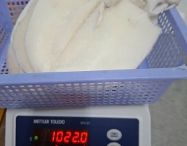 Mực lá 1 nắng 3 con/kg