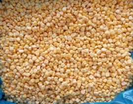 BẮP HẠT NGỌT ĐỔ XÁ NGUYÊN THÙNG 10kg