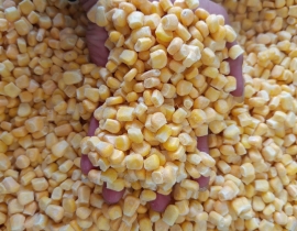 BẮP HẠT NGỌT ĐỔ XÁ NGUYÊN THÙNG 10kg