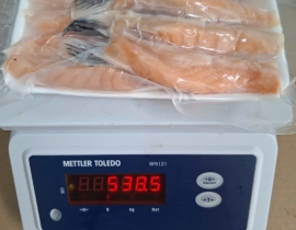 VÂY CÁ HỒI LỰA ĐỎ LOẠI 1 20-30CÁI/1KG VỈ 500G N8