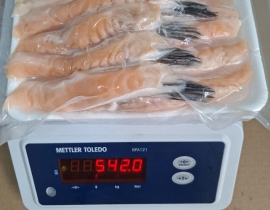VÂY CÁ HỒI LỰA ĐỎ LOẠI 1 20-30CÁI/1KG VỈ 500G N8