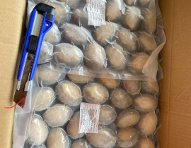 BÀO NGƯ NGUYÊN CON (THÙNG XANH)
