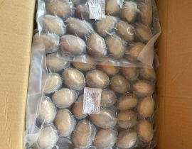 BÀO NGƯ NGUYÊN CON (THÙNG XANH)