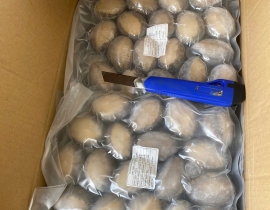 BÀO NGƯ NGUYÊN CON (THÙNG XANH)