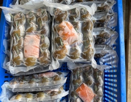 ỐC BƯƠU NHỒI THỊT - KHAY 290 - 330G 12 CON