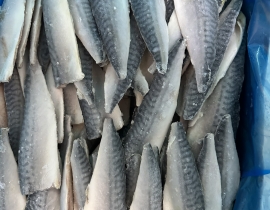 CÁ SABA NAUY FILLET ( THU NHẬT FILLET )