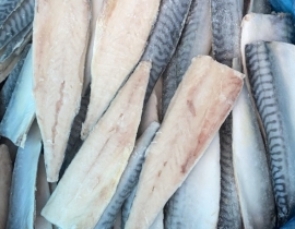 CÁ SABA NAUY FILLET ( THU NHẬT FILLET )