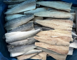 CÁ SABA NAUY FILLET ( THU NHẬT FILLET )