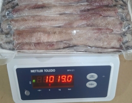 MỰC TRỨNG GHIM 9/12 VỈ 1KG ĐỦ KG