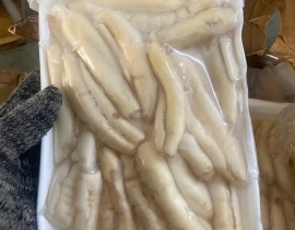 Hải sâm làm sạch