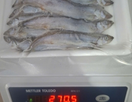 CÁ TRỨNG RA VỈ 500G 50% CÁ CÁI
