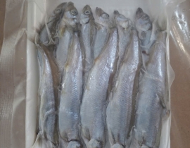 CÁ TRỨNG RA VỈ 500G 50% CÁ CÁI