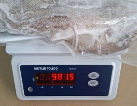 MỰC LÁ VIỆT NAM SIZE 500UP IQF ĐỦ KG