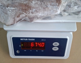 MỰC LÁ VIỆT NAM SIZE 500UP IQF ĐỦ KG