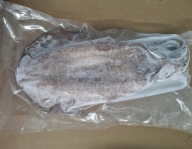 MỰC LÁ VIỆT NAM SIZE 500UP IQF ĐỦ KG